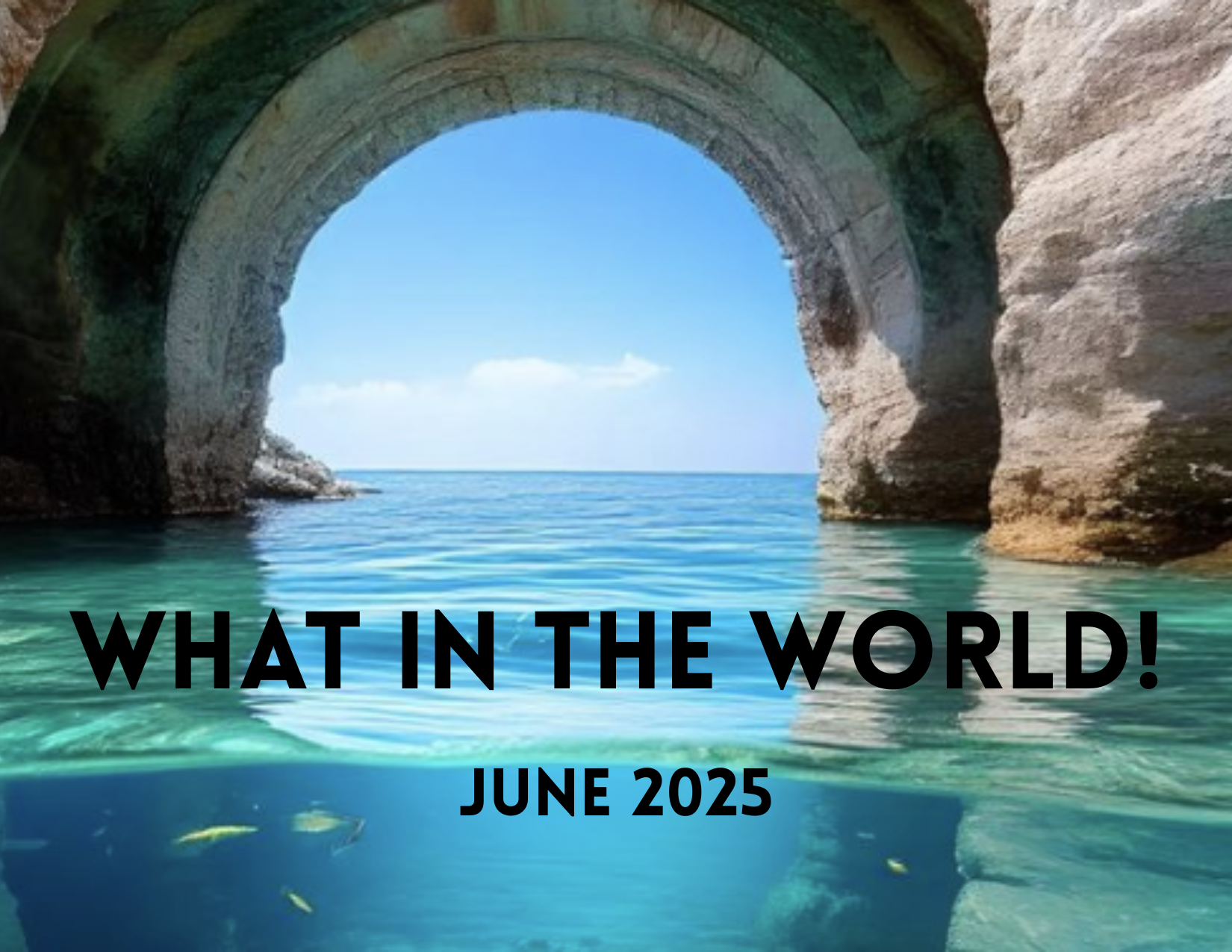 What in the World! June 2025