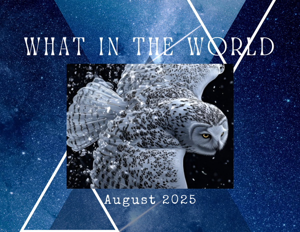 What in the World! August 2025